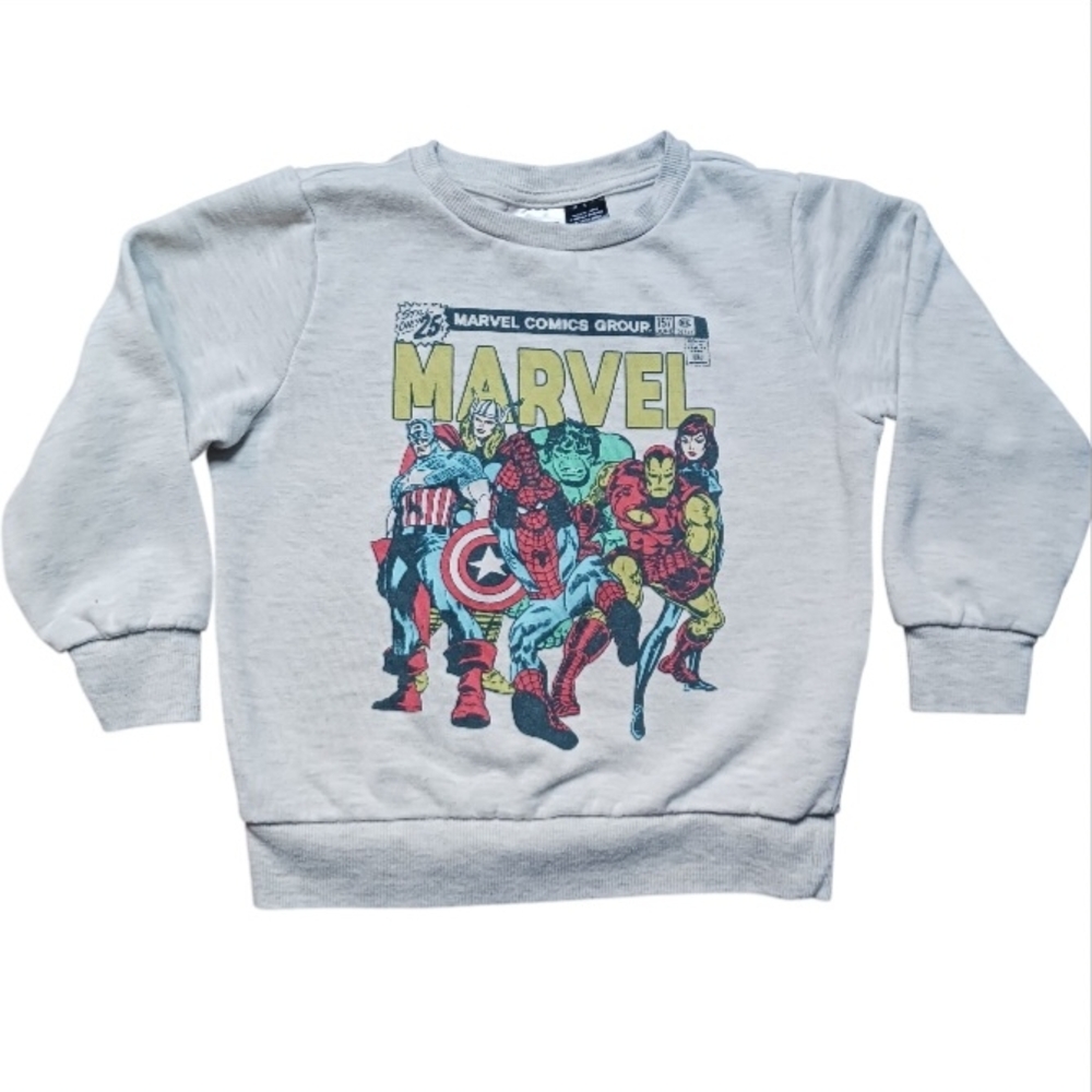 Toddler Boys' Marvel Graphic Comic Solid Pullover Sweatshirt - Oatmeal 4T